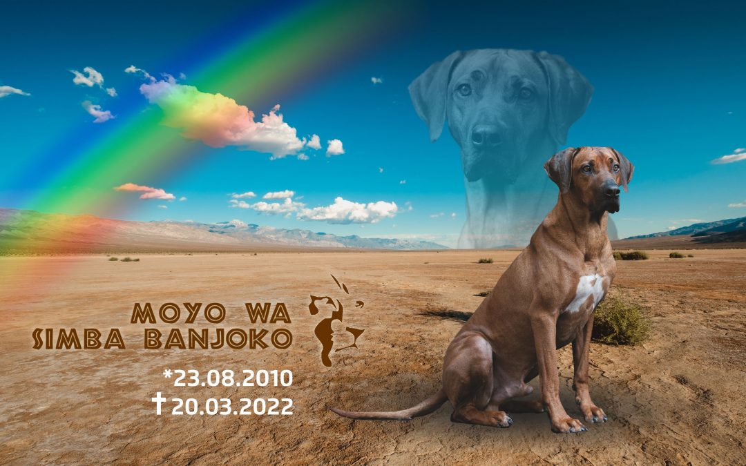 Ruhe in Frieden, Moyo wa Simba Banjoko