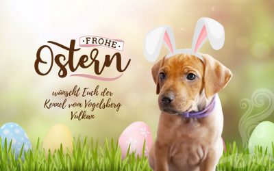 Frohe Ostern 🐾🌷