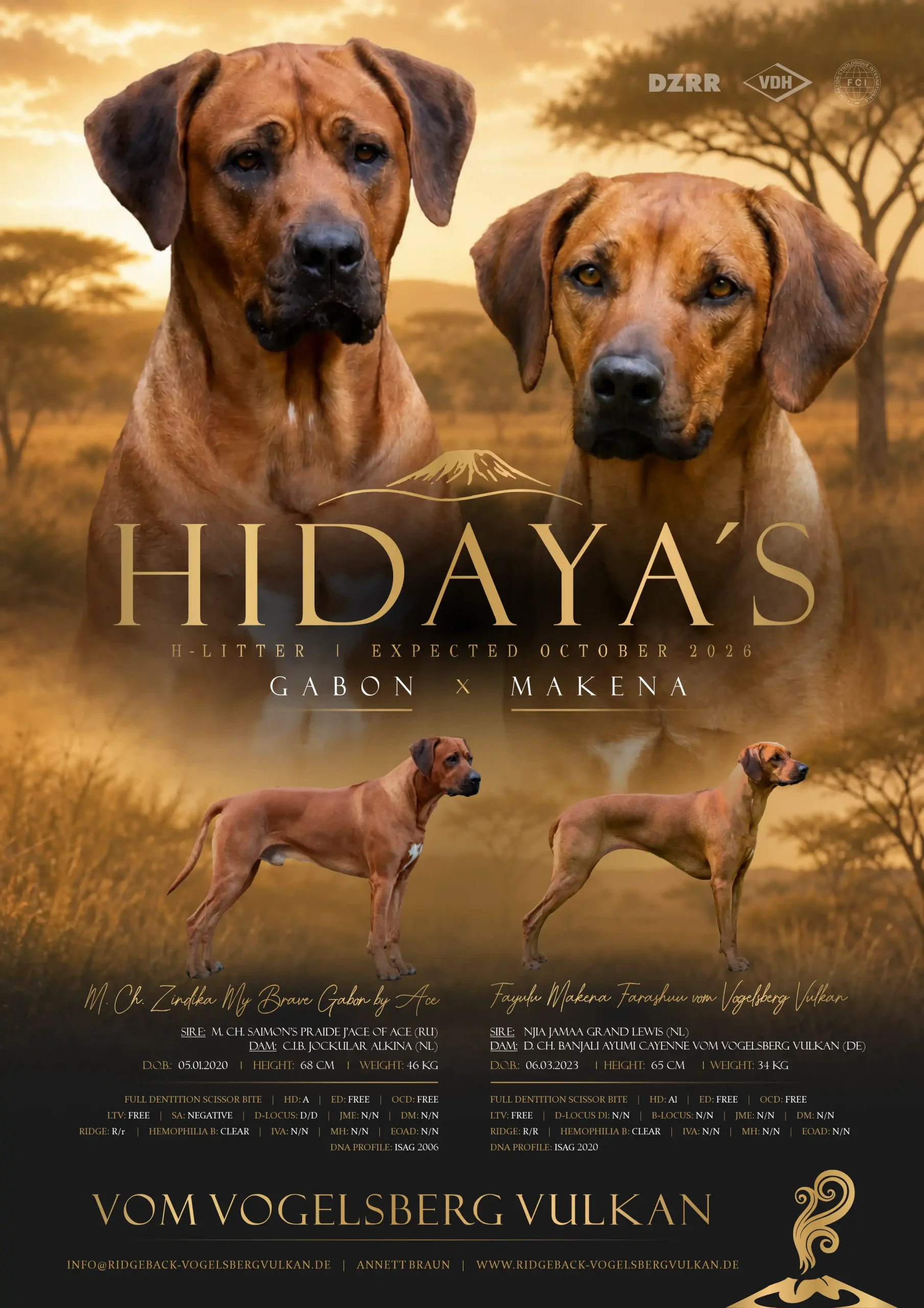 Collage H-Wurf Hidayas